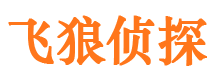 城中外遇调查取证